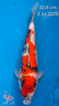 Showa 103.2506Q