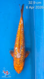 Dragon Diamond 203.2505S - SOLD