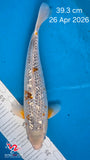 Golden Corn 191.2604P